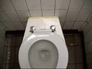 Public toilet pissing
