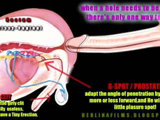 Shemale aanatomy(some genre de sissy-trainer)