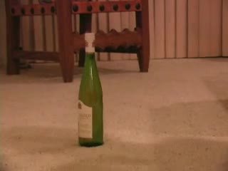 Vājas meitene vs vīns pudele